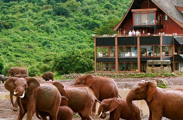 2-Daagse Aberdare National Park Luxe Lodge Safari