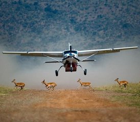 63 Day Spectacular Masai Mara Safari Flying Package in Kenya - Photo 1