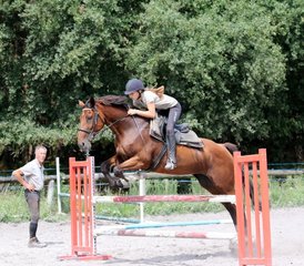 8 Day R.Y.E.2© Intensive Program: Show Jumping and English Training for Teens in Mimizan, France - Photo 3
