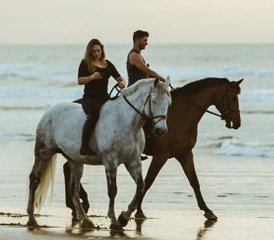 3 Day Surf and Yoga Holiday with Horse or Camel Riding in Essaouira, Morocco - Photo 3