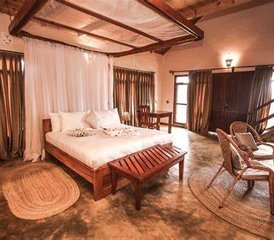4-Tage-Safari in Nord-Tansania: Erkunden Sie den Lake-Manyara-Nationalpark, den Tarangire-Nationalpark und den Ngor - Photo 3