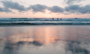 Arrawarra Beach Retreats & Trips