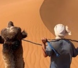 7 jours en circuit de trek, yoga et méditation à travers le Sahara au Maroc - Photo 3
