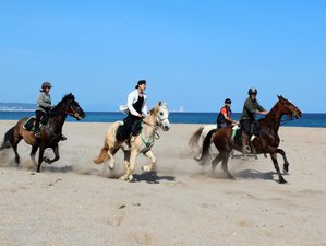 8 Day Tramuntana Land and Tasting the Costa Brava Horse Riding Holiday in Catalonia