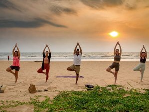 10 Day Yoga Retreat in Bentota Area, Sri Lanka: Embark on your Journey to Wellness