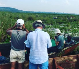 12 Tage Uganda-Safari mit Gorilla-Trekking - Photo 2