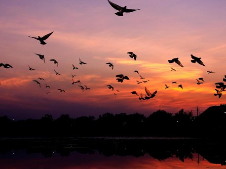 Chandigarh