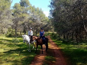7 Day Extraordinary Horse Riding Holiday in Malaga, Andalucia