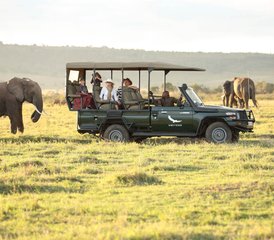 5 jours le meilleur safari en Tanzanie en 4x4 Land Cruiser, Tanzanie - Photo 4