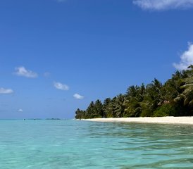 7 Tage Paradies- und Zen-Yoga-Retreat auf den Malediven - Photo 5