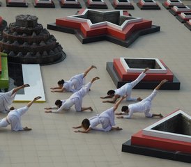 Self-Paced 50-Hour Sharabh Yog Advanced Online Yoga Training with Monthly Live Classes - Photo 2