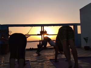 11 Day Unique and Active Surf for All Levels and Relaxing Yoga Experience in Aourir, Agadir