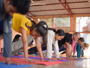 25 Day 200-Hour Transformative and Spiritual Yoga Teacher Training in Rishikesh, India 