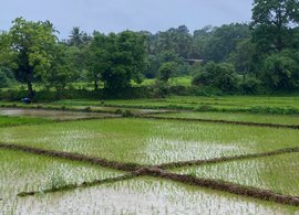 Salcete Retreats & Trips