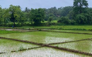 Salcete Retreats & Trips