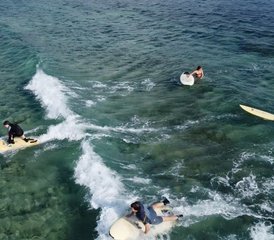 5 días de progresión de surf en el paraíso: alojamiento nuevo en Port-Vila, Vanuatu - Photo 2