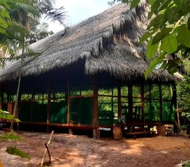 7 jours en stage de détox numérique et pleine conscience avec yoga et méditation en retraite dans la jungle amazonienne, Pérou - Photo 3