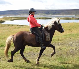 4-Daagse Comfortabele Paardrijvakantie in Húsavík, Norðurþing, IJsland - Photo 2