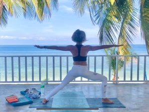 8 Day Absolute Beginners Luxury Meditation and Yoga Retreat in Koh Phangan