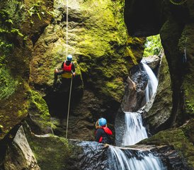 8 jours dans la jungle insulaire : stage yoga et randonnée guidée dans le parc naturel de Delices, Dominique - Photo 5