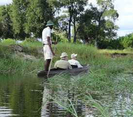 74 Tage Khwai Concession und Moremi Game Reserve Safari in Botswana mit Mokoro-Fahrt - Photo 1