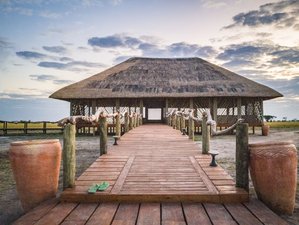 7 Day Safari Spirit Renewal with Miia Bricker in Chobe National Park