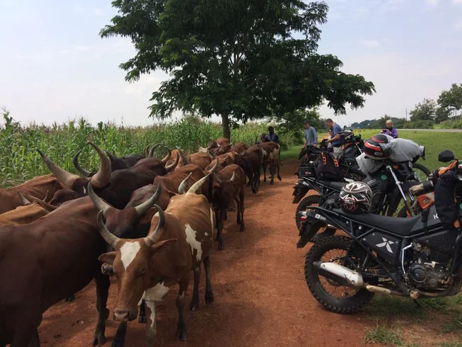 9 Day Explore Kenya Maasai Mara Guided Motorcycle Tour photo 7