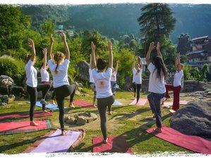 56 Day 500-Hour Yin Yoga Teacher Training Course in Dharamshala, India 