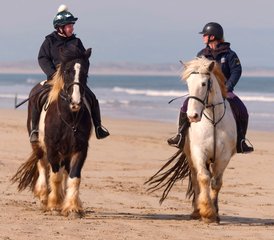 5 jours en stage d’équitation côtière emblématique vers le château de Dunluce et la Chaussée des Géants, Irlande - Photo 3