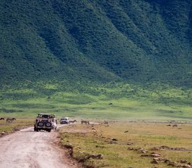8 Day Best Tanzania Comfort Safari Migration River Crossing and Masai Boma Visit - Photo 3