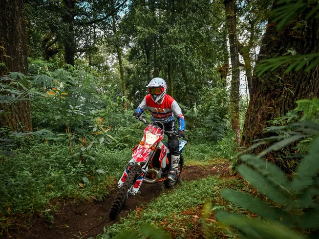 4 Day Guided Motorcycle Tour Kintamani Forest and Volcano Adventure in Indonesia