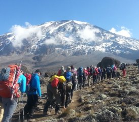 27-Daagse Kilimanjaro Beklimming De Marangu Route Safari in Tanzania - Photo 1