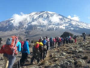 7 Day Kilimanjaro Climb The Marangu Route Safari in Tanzania 