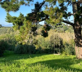 6 Tage Yoga Retreat in der Toskana, Italien mit Yoga, Ruhe, und Erholung - Photo 5