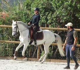 5 Day Cultural Program and Dressage Holidays in Alenquer, Lisbon, Portugal - Photo 2