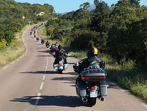 7 Day Harley-Davidson® Tuscany Guided Motorcycle Tour in Italy