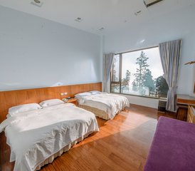 4 Day Yoga and Nature Retreat in Alishan, Taiwan - Photo 5