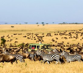 03 Tage Günstige Maasai Mara Safari in Kenia - Photo 1
