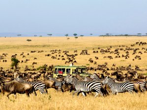 3 Day Budget-Friendly Maasai Mara Safari in Kenya