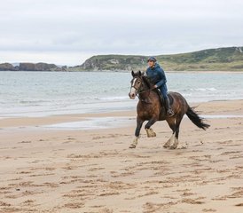 25-Daagse Op Maat Gemaakte Klassieke Paardrijavontuur aan de Causeway Kust in Ierland, Ierland - Photo 1