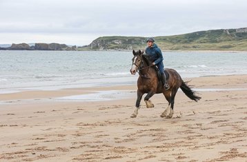 5-Daagse Op Maat Gemaakte Klassieke Paardrijavontuur aan de Causeway Kust in Ierland, Ierland