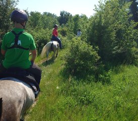 8 jours en stage d’équitation à travers les Rhodopes orientales, Bulgarie - Photo 4