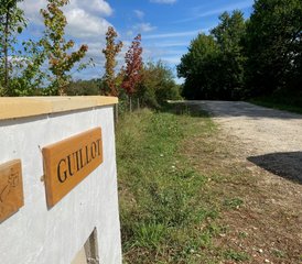 5 Day Individually Tailored Horse Riding Holiday in Coutras near Bordeaux, France - Photo 2
