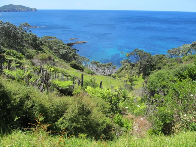18 Days Self-Guided Kiwi Trails Motorcycle Tour in North Island, New Zealand photo 10