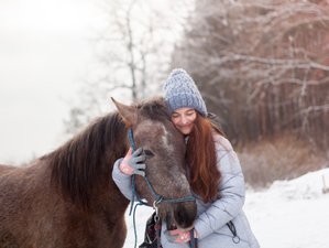 3 Day Winter Horse Riding Holiday in Zubra Village, Lviv Oblast
