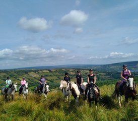 6 jours de randonnée équestre Trail guidé de Galway au comté de Clare, dans l’Ouest de l’Irlande - Photo 5