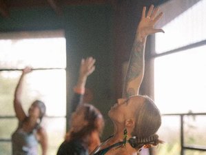 15 Day 200-Hour Hybrid Yoga Teacher Training in Monteverde, Costa Rica