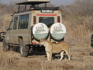 3 Day Selous Game Reserve Walking and Boat Safari in Tanzania