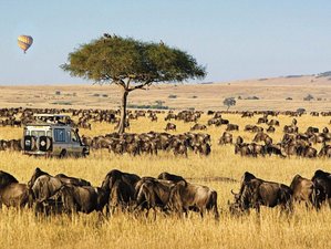 3 Tage Masai Mara Tier- und Migrations-Safari in Kenia
