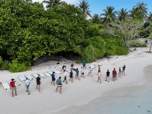 8 Day Stay and Learn to Surf in Thimarafushi, Maldives for Beginners